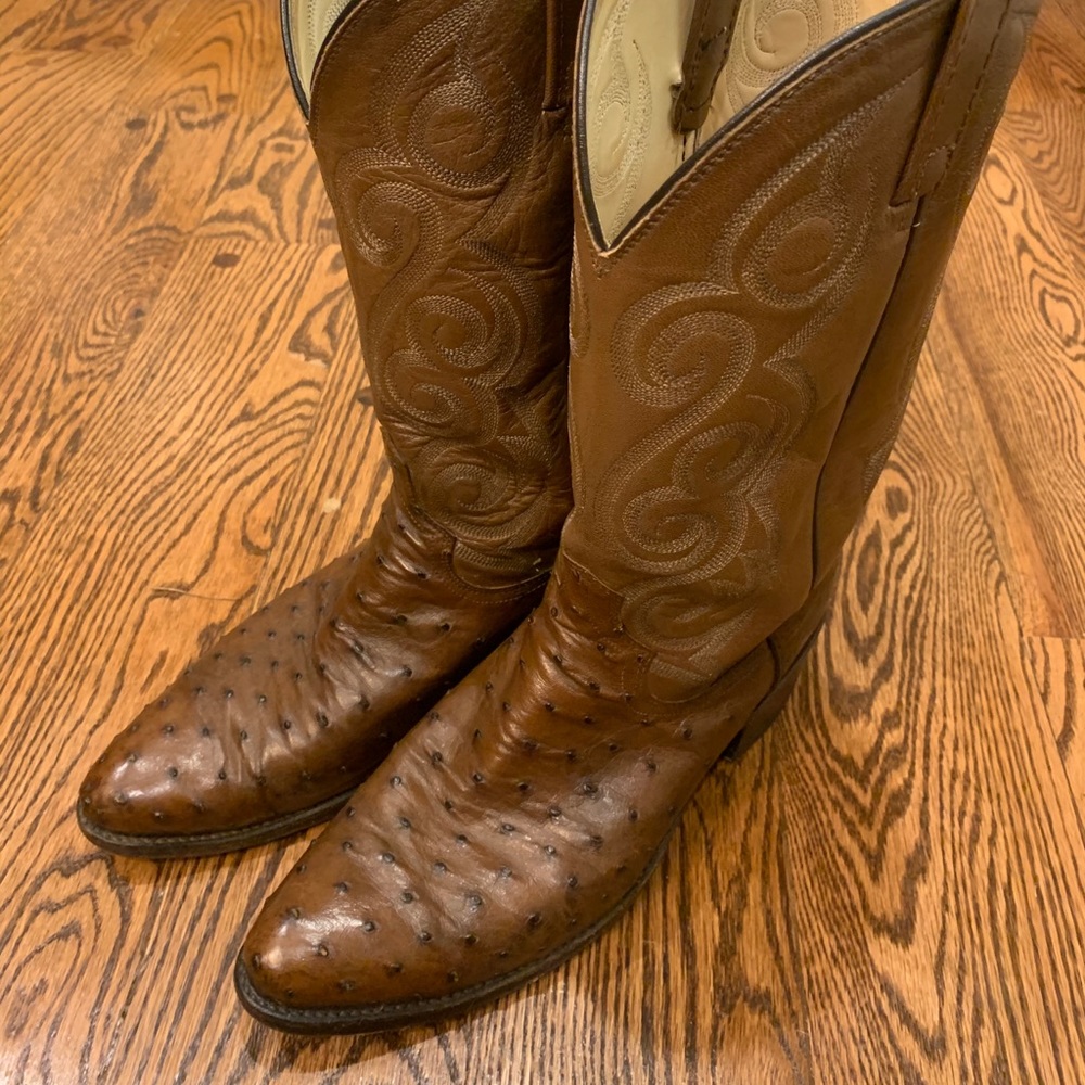 Dan post ostrich boots